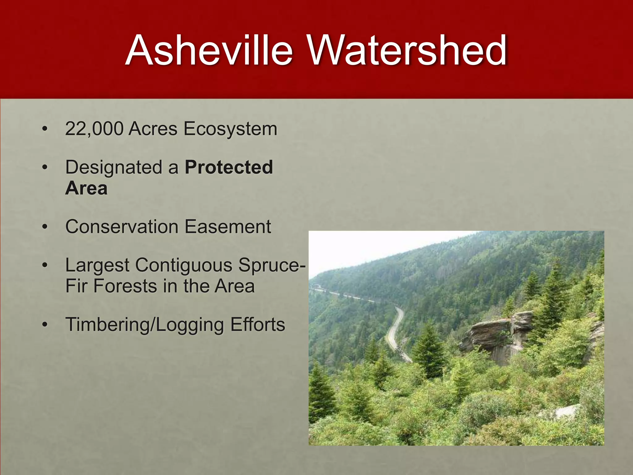 Asheville Watershed
• 22,000 Acres Ecosystem
• Designated a Protected
  Area
• Conservation Easement
• Largest Contiguous Spruce-
  Fir Forests in the Area
• Timbering/Logging Efforts
 