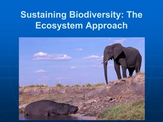 Sustaining Biodiversity: The
Ecosystem Approach
 