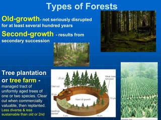 sustaining biodiversity.pptx