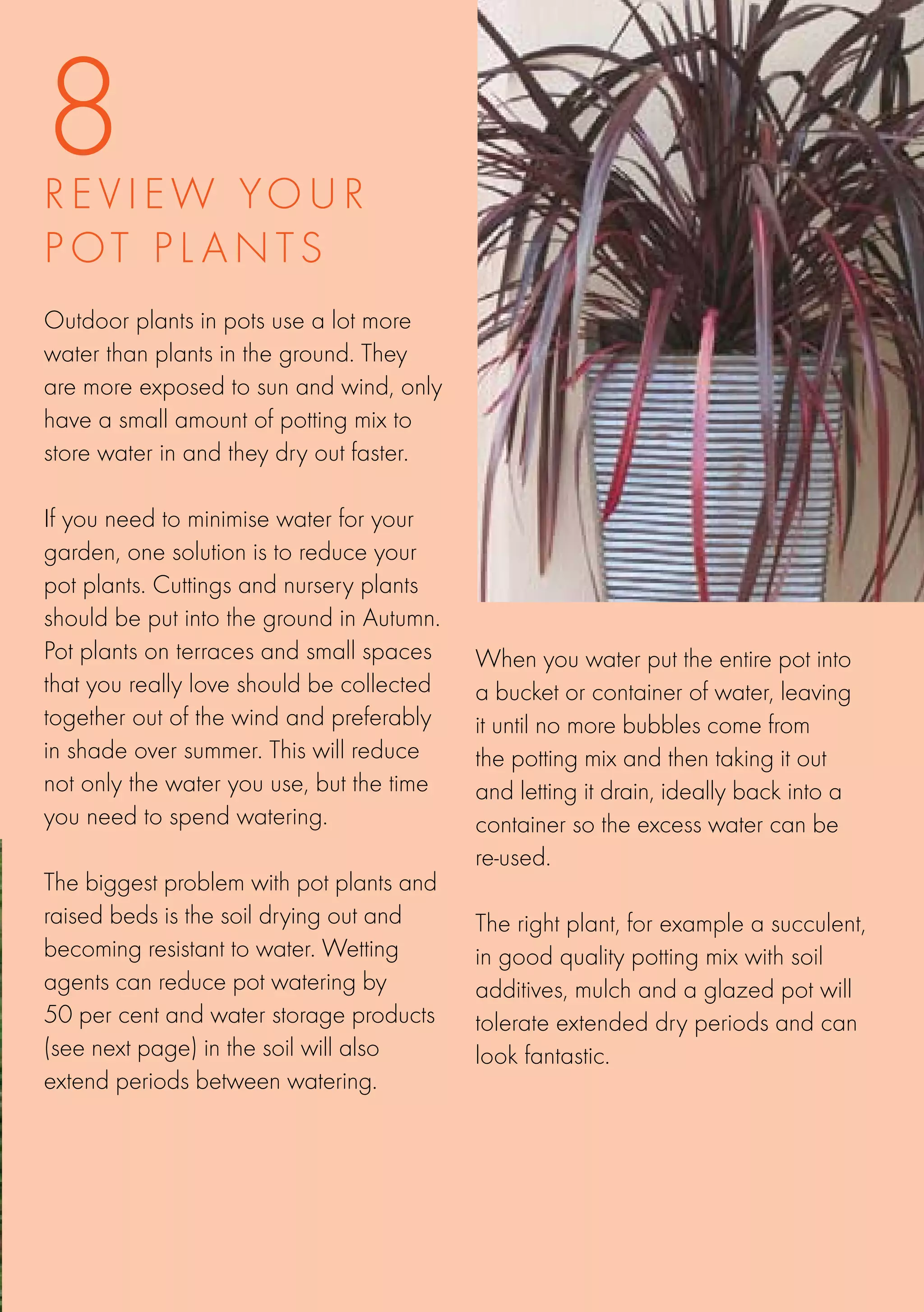8
R E V I E W YOU R
POT PL A N T S
Outdoor plants in pots use a lot more
water than plants in the ground. They
are more exposed to sun and wind, only
have a small amount of potting mix to
store water in and they dry out faster.

If you need to minimise water for your
garden, one solution is to reduce your
pot plants. Cuttings and nursery plants
should be put into the ground in Autumn.
Pot plants on terraces and small spaces    When you water put the entire pot into
that you really love should be collected   a bucket or container of water, leaving
together out of the wind and preferably    it until no more bubbles come from
in shade over summer. This will reduce     the potting mix and then taking it out
not only the water you use, but the time   and letting it drain, ideally back into a
you need to spend watering.                container so the excess water can be
                                           re-used.
The biggest problem with pot plants and
raised beds is the soil drying out and     The right plant, for example a succulent,
becoming resistant to water. Wetting       in good quality potting mix with soil
agents can reduce pot watering by          additives, mulch and a glazed pot will
50 per cent and water storage products     tolerate extended dry periods and can
(see next page) in the soil will also      look fantastic.
extend periods between watering.
 