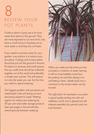 8
R E V I E W YOU R
POT PL A N T S
Outdoor plants in pots use a lot more
water than plants in the ground. They
are more exposed to sun and wind, only
have a small amount of potting mix to
store water in and they dry out faster.

If you need to minimise water for your
garden, one solution is to reduce your
pot plants. Cuttings and nursery plants
should be put into the ground in Autumn.
Pot plants on terraces and small spaces    When you water put the entire pot into
that you really love should be collected   a bucket or container of water, leaving
together out of the wind and preferably    it until no more bubbles come from
in shade over summer. This will reduce     the potting mix and then taking it out
not only the water you use, but the time   and letting it drain, ideally back into a
you need to spend watering.                container so the excess water can be
                                           re-used.
The biggest problem with pot plants and
raised beds is the soil drying out and     The right plant, for example a succulent,
becoming resistant to water. Wetting       in good quality potting mix with soil
agents can reduce pot watering by          additives, mulch and a glazed pot will
50 per cent and water storage products     tolerate extended dry periods and can
(see next page) in the soil will also      look fantastic.
extend periods between watering.
 