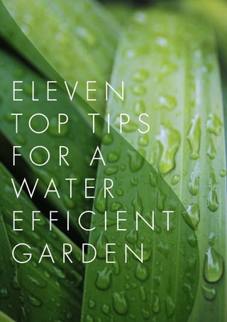 Eleven
T o p Ti p s
for a
Water
E f f ici e n t
G ar d e n
 