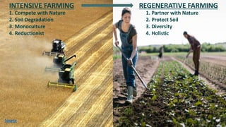 1. Compete with Nature
2. Soil Degradation
3. Monoculture
4. Reductionist
INTENSIVE FARMING
1. Partner with Nature
2. Protect Soil
3. Diversity
4. Holistic
REGENERATIVE FARMING
Source
 