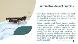 INNOVATION FOR THE FOOD SERVICE SECTOR
Alternative Animal Proteins
• While there has been much research into plant-
based meat substitutes, others are looking into
the feasibility of consuming alternative animal
proteins such as insects.
• Edible insects emit fewer gases, contain
high-quality protein, vitamins and amino
acids, and have a high food conversion rate,
needing a quarter of the food intake of
sheep, and half of pigs and chickens, to
produce the same amount of protein. They
emit less greenhouse gases and ammonia
than cows and can be grown on organic
waste (source)
 