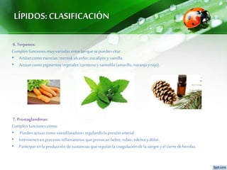 LÍPIDOS:CLASIFICACIÓN
6.Terpenos:
Cumplenfunciones muyvariadas entre las que se pueden citar:
• Actúancomo esencias: mentol, alcanfor, eucalipto yvainilla.
• Actúancomo pigmentos vegetales: caroteno yxantofila (amarillo, naranja yrojo).
7.Prostaglandinas:
Cumplenfunciones como:
• Pueden actuar como vasodilatadores regulando la presión arterial.
• Intervienenenprocesos inflamatorios que provocan fiebre, rubor,edema ydolor.
• Participar enla producción de sustancias que regulan la coagulación de la sangre yel cierrede heridas.
 