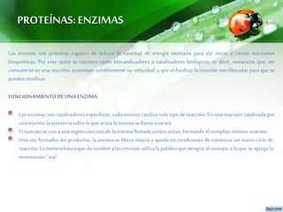 PROTEÍNAS:ENZIMAS
Las enzimas son proteínas capaces de reducir la cantidad de energía necesaria para dar inicio a ciertas reacciones
bioquímicas. Por esta razón se conocen como biocatalizadores o catalizadores biológicos, es decir, sustancias que, sin
consumirse en una reacción, aumentan notablemente su velocidad, y que al finalizar la reacción son liberadas para que se
puedan reutilizar.
FUNCIONAMIENTODE UNA ENZIMA
Las enzimas son catalizadores específicos: cada enzima cataliza solo tipo de reacción. En una reacción catalizada por
unaenzima, la sustancia sobre la que actúa la enzima se llama sustrato.
El sustrato se unea unaregión concretade la enzimallamada centro activo, formando el complejo enzima-sustrato.
Una vez formados los productos, la enzima se libera intacta y queda en condiciones de comenzar un nuevo ciclo de
reacción. La nomenclatura que da nombre a las enzimas utiliza la palabra que designa al sustrato, a la que se agrega la
terminación"asa".
 