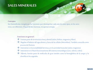 SALES MINERALES
Funciones en general :
 Forman parte de la estructura ósea ydental (calcio, fósforo, magnesio yflúor).
 Regulan el balance del agua dentro y fuera de las células (electrolitos). También conocido como
proceso de Ósmosis.
 Intervienenenla excitabilidad nerviosa yenla actividad muscular (calcio, magnesio).
 Intervienenenel buenfuncionamiento del sistema inmunológico (zinc,selenio, cobre).
 Además, forman parte de moléculas de gran tamaño como la hemoglobina de la sangre y la
clorofila en los vegetales.
Concepto:
Son biomoléculas inorgánicas, las funciones que desempeñan cada uno de estos tipos, en los seres
vivos, son diferentes. Al igual de las vitaminas, no aportan energía.
 