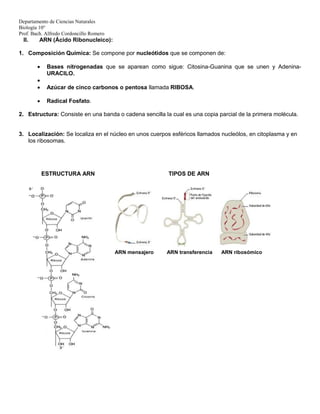 Departamento de Ciencias Naturales
Biología 10°
Prof. Bach. Alfredo Cordoncillo Romero
II. ARN (Ácido Ribonucleico):
1. Composición Química: Se compone por nucleótidos que se componen de:
 Bases nitrogenadas que se aparean como sigue: Citosina-Guanina que se unen y Adenina-
URACILO.

 Azúcar de cinco carbonos o pentosa llamada RIBOSA.
 Radical Fosfato.
2. Estructura: Consiste en una banda o cadena sencilla la cual es una copia parcial de la primera molécula.
3. Localización: Se localiza en el núcleo en unos cuerpos esféricos llamados nucleólos, en citoplasma y en
los ribosomas.
ESTRUCTURA ARN TIPOS DE ARN
ARN mensajero ARN transferencia ARN ribosómico
 