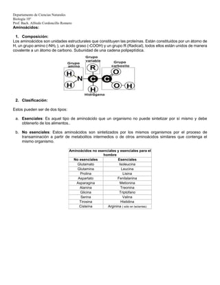 Departamento de Ciencias Naturales
Biología 10°
Prof. Bach. Alfredo Cordoncillo Romero
Aminoácidos:
1. Composición:
Los aminoácidos son unidades estructurales que constituyen las proteínas. Están constituidos por un átomo de
H, un grupo amino (-NH2 ), un ácido graso (-COOH) y un grupo R (Radical), todos ellos están unidos de manera
covalente a un átomo de carbono. Subunidad de una cadena polipeptídica.
2. Clasificación:
Estos pueden ser de dos tipos:
a. Esenciales: Es aquel tipo de aminoácido que un organismo no puede sintetizar por sí mismo y debe
obtenerlo de los alimentos..
b. No esenciales: Estos aminoácidos son sintetizados por los mismos organismos por el proceso de
transaminación a partir de metabolitos intermedios o de otros aminoácidos similares que contenga el
mismo organismo.
Aminoácidos no esenciales y esenciales para el
hombre
No esenciales Esenciales
Glutamato Isoleucina
Glutamina Leucina
Prolina Lisina
Aspartato Fenilalanina
Asparagina Metionina
Alanina Treonina
Glicina Triptofano
Serina Valina
Tirosina Histidina
Cisteína Arginina ( sólo en lactantes)
 