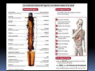 Sustancias Psicoactivas 