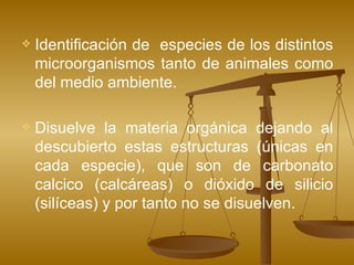 Identificación de  especies de los distintos microorganismos tanto de animales como del medio ambiente. Disuelve la materia orgánica dejando al descubierto estas estructuras (únicas en cada especie), que son de carbonato calcico (calcáreas) o dióxido de silicio (silíceas) y por tanto no se disuelven. 