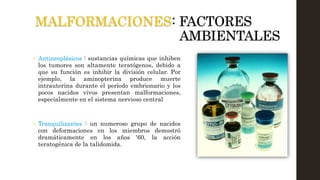 MALFORMACIONES: FACTORES
AMBIENTALES
• Antineoplásicos : sustancias químicas que inhiben
los tumores son altamente teratógenos, debido a
que su función es inhibir la división celular. Por
ejemplo, la aminopterina produce muerte
intrauterina durante el período embrionario y los
pocos nacidos vivos presentan malformaciones,
especialmente en el sistema nervioso central
• Tranquilizantes : un numeroso grupo de nacidos
con deformaciones en los miembros demostró
dramáticamente en los años '60, la acción
teratogénica de la talidomida.
 
