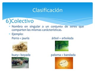 Clasificación
6)Colectivo
  Nombra en singular a un conjunto de seres que
  comparten las mismas carácterísticas.
  Ejemplo:
  Perro = jauría              árbol = arboleda




  buey= boyada            paloma = bandada
 