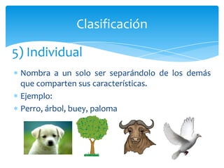 Clasificación

5) Individual
 Nombra a un solo ser separándolo de los demás
 que comparten sus características.
 Ejemplo:
 Perro, árbol, buey, paloma
 
