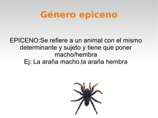 Género epiceno

EPICENO:Se refiere a un animal con el mismo
   determinante y sujeto y tiene que poner
               macho/hembra
    Ej: La araña macho,la araña hembra
 