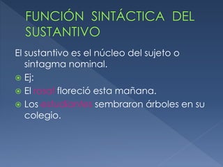 El sustantivo es el núcleo del sujeto o
sintagma nominal.
Ej:
El rosal floreció esta mañana.
Los estudiantes sembraron árboles en su
colegio.