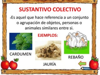 SUSTANTIVO COLECTIVO
•Es aquel que hace referencia a un conjunto
o agrupación de objetos, personas o
animales similares entre si.
EJEMPLOS:
CARDUMEN
JAURÍA
REBAÑO
 