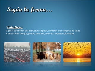 Colectivos: A pesar que tienen una estructura singular, nombran a un conjunto de cosas o seres como: bosque, gentío, bandada, coro, etc. Expresan pluralidad. Según la forma… 