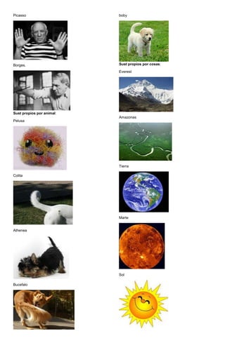Picasso
Borges.
Sust propios por animal:
Pelusa
Colita
Athenea
Bucefalo
boby
Sust propios por cosas:
Everest
Amazonas
Tierra
Marte
Sol
 