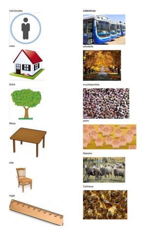 individuales
casa
Árbol
Mesa
silla
regla
colectivos
arboleda
muchedumbre
piara
Rebaño
Colmena
 