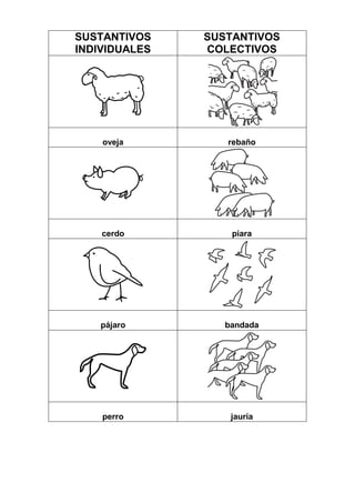 SUSTANTIVOS
INDIVIDUALES
SUSTANTIVOS
COLECTIVOS
oveja rebaño
cerdo piara
pájaro bandada
perro jauría
 