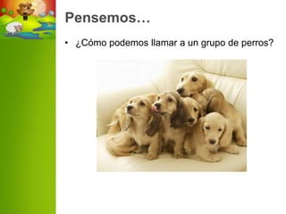 Pensemos…
• ¿Cómo podemos llamar a un grupo de perros?
 