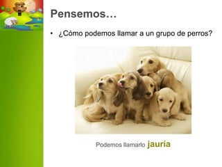 Pensemos…
• ¿Cómo podemos llamar a un grupo de perros?




            Podemos llamarlo   jauría
 