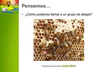 Pensemos…
• ¿Cómo podemos llamar a un grupo de abejas?




            Podemos llamarlo enjambre
 