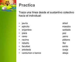 Practica
Traza una línea desde el sustantivo colectivo
hacia el individual:

•   jauría                         árbol
•   ejército                       maestro
•   enjambre                       soldado
•   piara                          pez
•   ramo                           perro
•   racimo                         plátano
•   rebaño                         flor
•   facultad                       cerdo
•   arboleda                       oveja
•   cardumen o banco               abeja
 