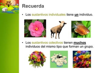 Recuerda
• Los sustantivos individuales tiene un individuo.




• Los sustantivos colectivos tienen muchos
  individuos del mismo tipo que forman un grupo.
 