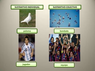 SUSTANTIVO INDIVIDUAL

paloma

jugador

SUSTANTIVO COLECTIVO

bandada

equipo

 