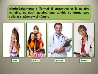 Morfológicamente : (forma) El sustantivo es la palabra
variable, es decir, palabra que cambia su forma para
señalar el género y el número

niña

niñas

doctor

doctora

 
