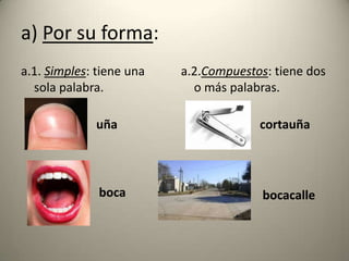 a) Por su forma:
a.1. Simples: tiene una
sola palabra.

a.2.Compuestos: tiene dos
o más palabras.

uña

cortauña

boca

bocacalle

 