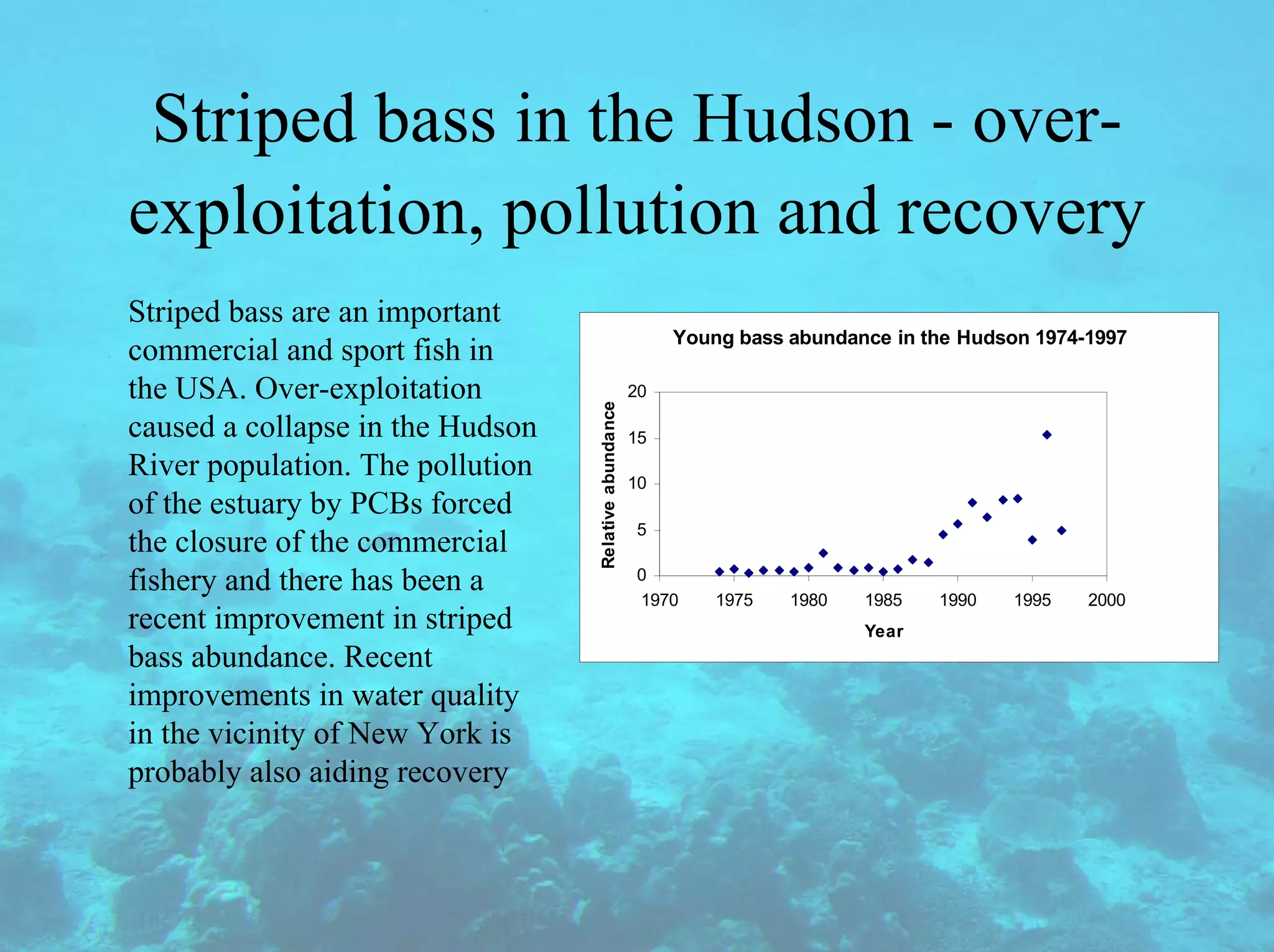 Striped bass in the Hudson - over-
exploitation, pollution and recovery
Striped bass are an important
commercial and sport fish in
the USA. Over-exploitation
caused a collapse in the Hudson
River population. The pollution
of the estuary by PCBs forced
the closure of the commercial
fishery and there has been a
recent improvement in striped
bass abundance. Recent
improvements in water quality
in the vicinity of New York is
probably also aiding recovery
Young bass abundance in the Hudson 1974-1997
0
5
10
15
20
1970 1975 1980 1985 1990 1995 2000
Year
Relative
abundance
 