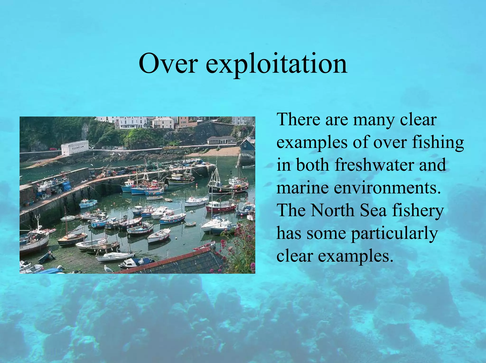 Over exploitation
There are many clear
examples of over fishing
in both freshwater and
marine environments.
The North Sea fishery
has some particularly
clear examples.
 