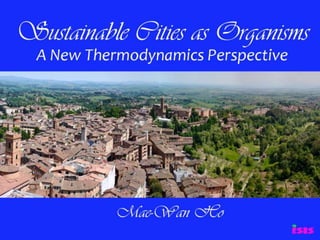 Sust cities as organisms, a new thermodynamics perspective