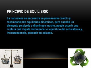 PRINCIPIO DE EQUILIBRIO.
La naturaleza se encuentra en permanente cambio y
recomponiendo equilibrios dinámicos, pero cuando un
elemento se pierde o disminuye mucho, puede ocurrir una
ruptura que impida recomponer el equilibrio del ecosistema y,
inconsecuencia, producir su colapso.
 