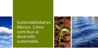 Sustentabilidad en
México: Cómo
contribuir al
desarrollo
sustentable.
 