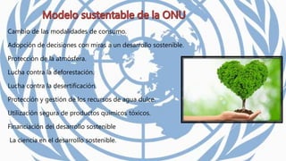 Cambio de las modalidades de consumo.
Adopción de decisiones con miras a un desarrollo sostenible.
Protección de la atmósfera.
Lucha contra la deforestación.
Lucha contra la desertificación.
Protección y gestión de los recursos de agua dulce.
Utilización segura de productos químicos tóxicos.
Financiación del desarrollo sostenible
La ciencia en el desarrollo sostenible.
 
