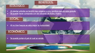 BENEFICIOS.
 Al plantar arboles se tendrá mas oxigeno y una sombra cuando este grande.
 Se puede hacer composta con las cascaras de fruta y huevo.
ECOLOGICO.
SOCIAL.
 Al no tirar basura se vera mejor la comunidad.
ECONÓMICO.
 Se puede juntar el pet el cual se vende.
 