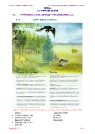 CIENCIAS MEDIOAMBIENTALES Luis Tarrío Sanjurjo y Miguel Ángel Álvarez García
TEMA 7
LOS GRANDES BIOMAS
Curso 2011-12 6.10
3.1. CARACTERÍSTICAS FUNDAMENTALES Y PROBLEMAS AMBIENTALES
3.1.1. TUNDRA Y BOSQUE DE CONÍFERAS
Figura 6.14. Principales características de los bosques de coníferas y de la tundra. (Tomado de Nebel, 1999).
- PLAGAS
- UTILIZACIÓN DE PESTICIDAS
- PRECIPITACIONES ÁCIDAS
- OZONO TROPOSFÉRICO
- TRATAMIENTOS FORESTALES
- EMBALSES
- ESCASA EXPLOTACIÓN
- INCENDIOS
- PETRÓLEO
- URBANIZACIÓN
 