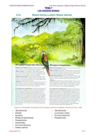 CIENCIAS MEDIOAMBIENTALES Luis Tarrío Sanjurjo y Miguel Ángel Álvarez García
TEMA 7
LOS GRANDES BIOMAS
Curso 2011-12 6.11
3.1.2. BOSQUE TROPICAL LLUVIOSO Y BOSQUE TEMPLADO
Figura 6.15. Principales características de los bosques tropicales y templados. (Tomado de Nebel, 1999).
- DEFORESTACIÓN
- EROSIÓN
- INCENDIOS
- PÉRDIDA DE BIODIVERSIDAD
- FRAGMENTACIÓN
- INUNDACIONES
- CULTIVOS FORESTALES
- CAMBIO CLIMÁTICO
- DEFORESTACIÓN
- LLUVIA ÁCIDA Y OZONO
- CULTIVOS FORESTALES
- FRAGMENTACIÓN
 