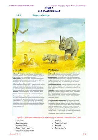 CIENCIAS MEDIOAMBIENTALES Luis Tarrío Sanjurjo y Miguel Ángel Álvarez García
TEMA 7
LOS GRANDES BIOMAS
Curso 2011-12 6.12
3.1.3. DESIERTO Y PASTIZAL
Figura 6.16. Principales características de los desiertos y los pastizales. (Tomado de Nebel, 1999).
- EXPANSIÓN
- SOBREPASTOREO
- DEFORESTACIÓN
- CAMBIO DE USO: AGRÍCOLA
- EXPLOTACIÓN DE PETRÓLEO
- CULTIVO
- SOBREPASTOREO:
- EROSIÓN
- DESERTIZACIÓN
 