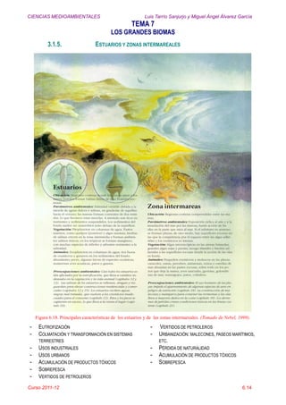 CIENCIAS MEDIOAMBIENTALES Luis Tarrío Sanjurjo y Miguel Ángel Álvarez García
TEMA 7
LOS GRANDES BIOMAS
Curso 2011-12 6.14
3.1.5. ESTUARIOS Y ZONAS INTERMAREALES
Figura 6.18. Principales características de los estuarios y de las zonas intermareales. (Tomado de Nebel, 1999).
- EUTROFIZACIÓN
- COLMATACIÓN Y TRANSFORMACIÓN EN SISTEMAS
TERRESTRES
- USOS INDUSTRIALES
- USOS URBANOS
- ACUMULACIÓN DE PRODUCTOS TÓXICOS
- SOBREPESCA
- VERTIDOS DE PETROLEROS
- VERTIDOS DE PETROLEROS
- URBANIZACIÓN: MALECONES, PASEOS MARÍTIMOS,
ETC.
- PÉRDIDA DE NATURALIDAD
- ACUMULACIÓN DE PRODUCTOS TÓXICOS
- SOBREPESCA
 