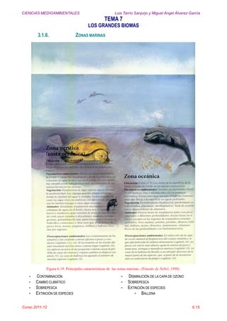 CIENCIAS MEDIOAMBIENTALES Luis Tarrío Sanjurjo y Miguel Ángel Álvarez García
TEMA 7
LOS GRANDES BIOMAS
Curso 2011-12 6.15
3.1.6. ZONAS MARINAS
Figura 6.19. Principales características de las zonas marinas. (Tomado de Nebel, 1999).
- CONTAMINACIÓN
- CAMBIO CLIMÁTICO
- SOBREPESCA
- EXTINCIÓN DE ESPECIES
- DISMINUCIÓN DE LA CAPA DE OZONO
- SOBREPESCA
- EXTINCIÓN DE ESPECIES
- BALLENA
 