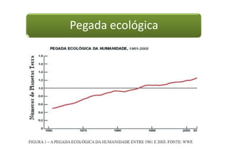 Pegada ecológica
 