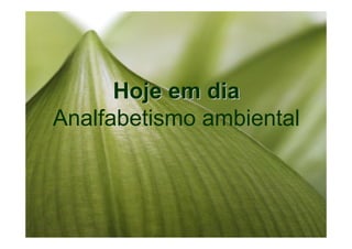 Hoje em dia
Analfabetismo ambiental
 