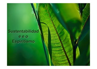Sustentabilidad
     eeo
  Espiritismo
 
