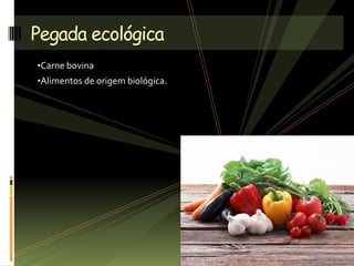 •Carne bovina
•Alimentos de origem biológica.
Pegada ecológica
 