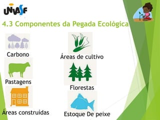 4.3 Componentes da Pegada Ecológica 
Carbono Áreas de cultivo 
Pastagens 
Florestas 
Áreas construídas Estoque De peixe 
 